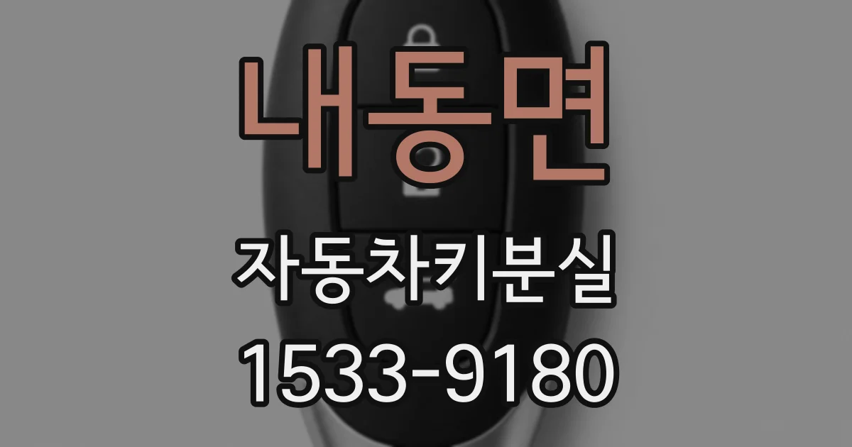 내동면 자동차키분실