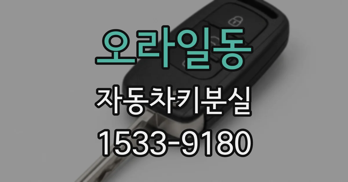 오라일동 자동차키분실