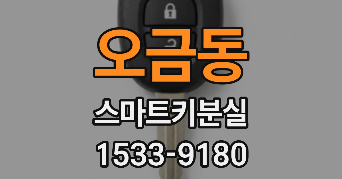 오금동 스마트키분실