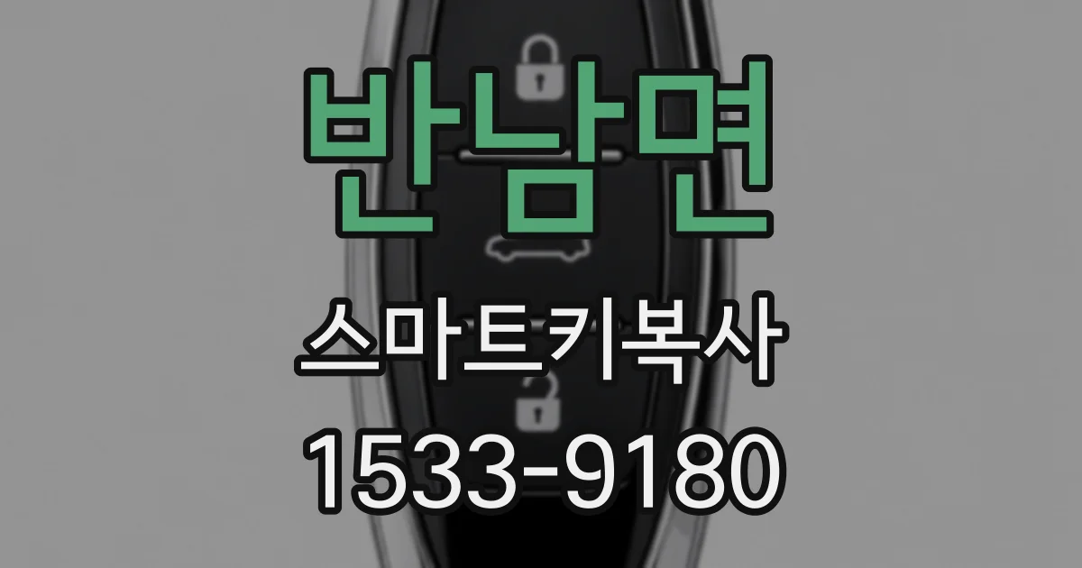 반남면 스마트키복사