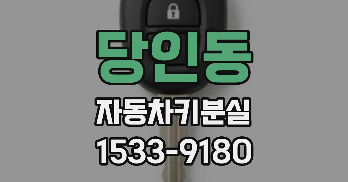 당인동 자동차키분실