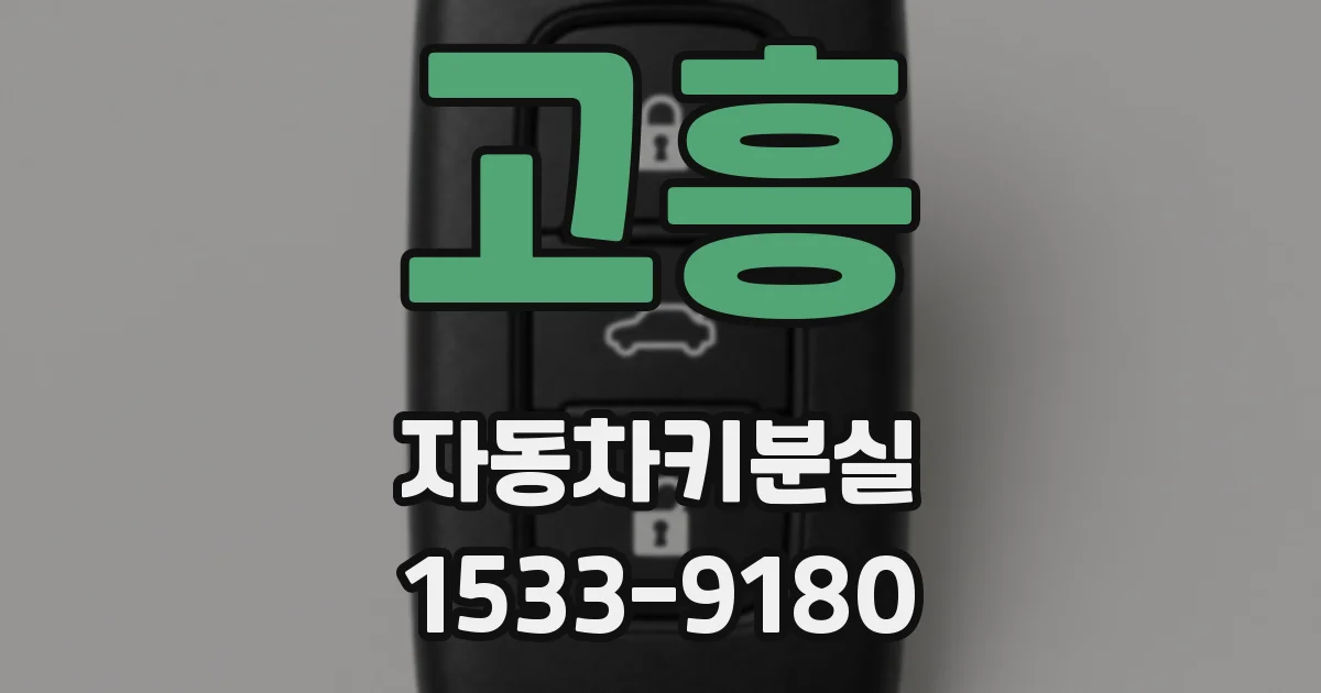 고흥 자동차키분실