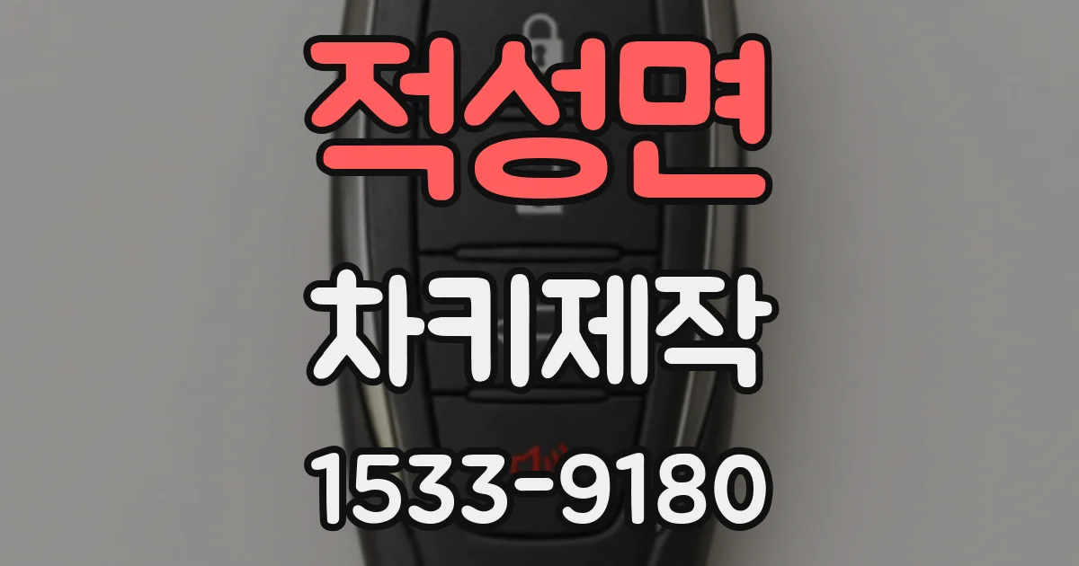 적성면 차키제작