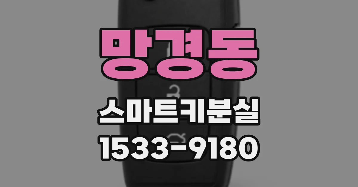 망경동 스마트키분실