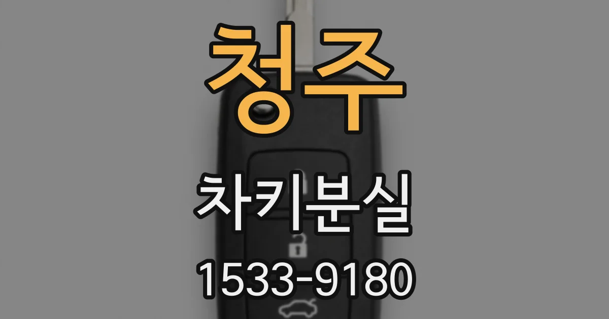 청주 차키분실