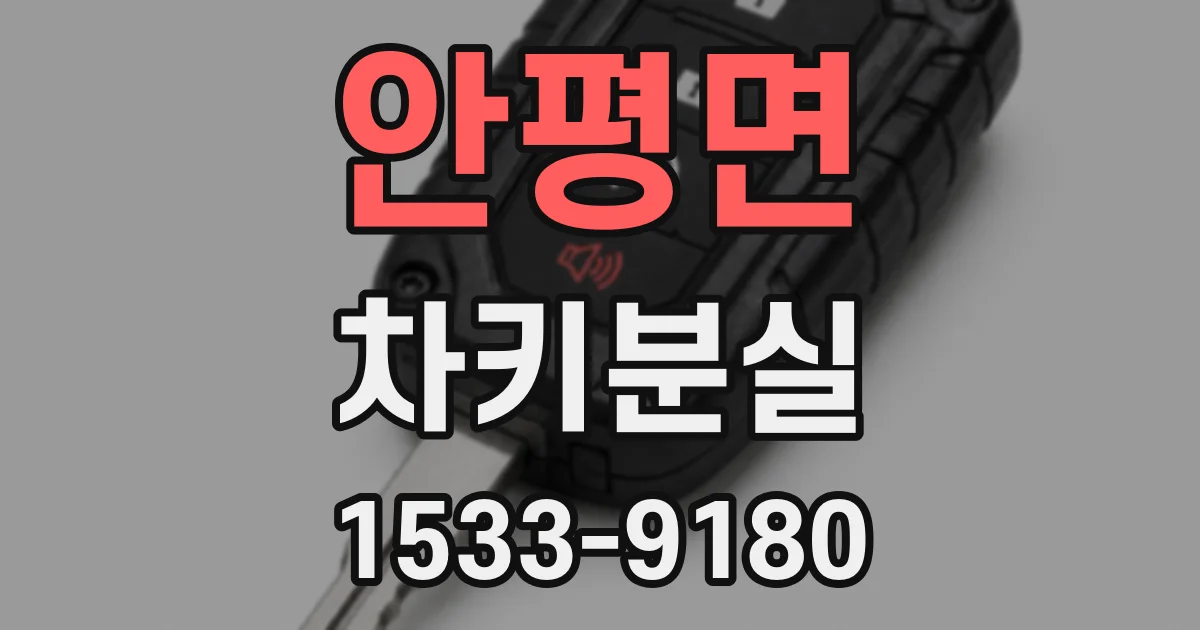 안평면 차키분실