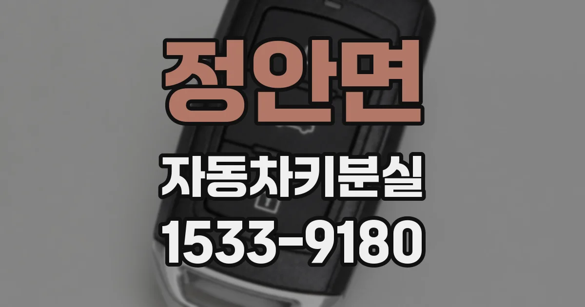 정안면 자동차키분실