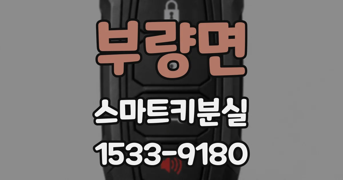 부량면 스마트키분실
