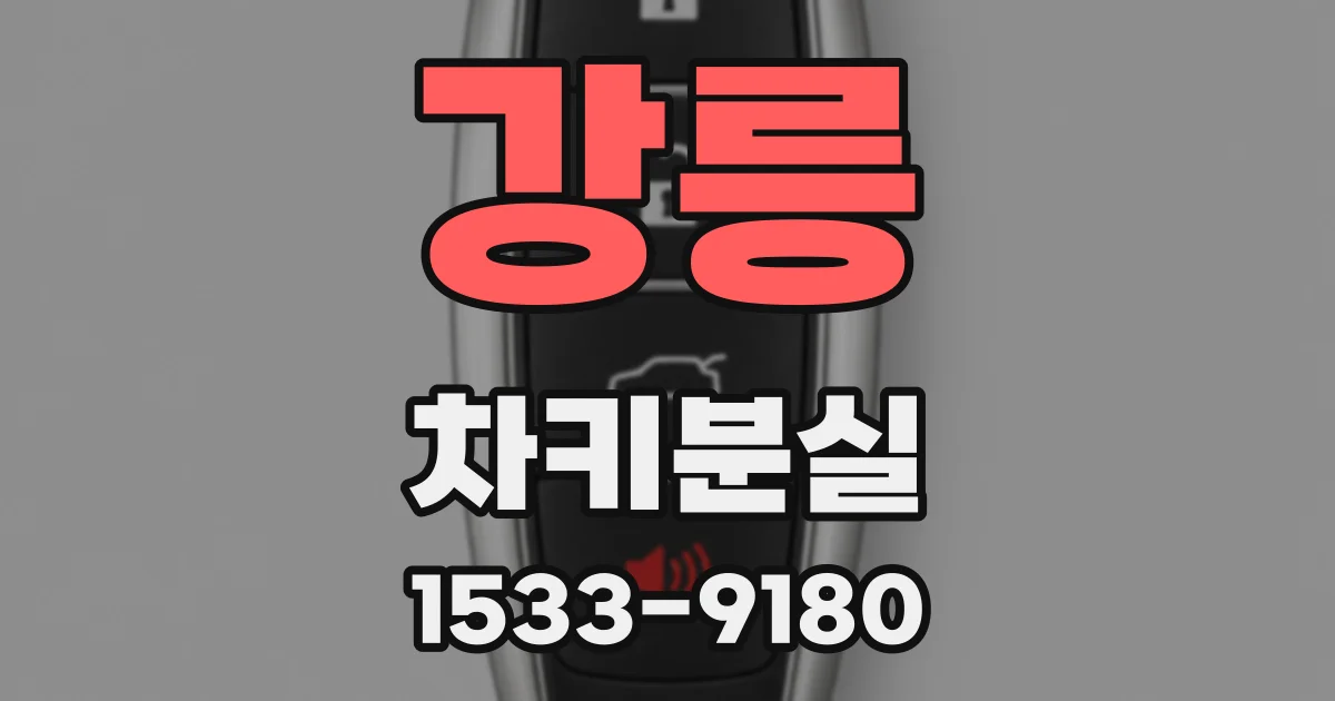 강릉 차키분실