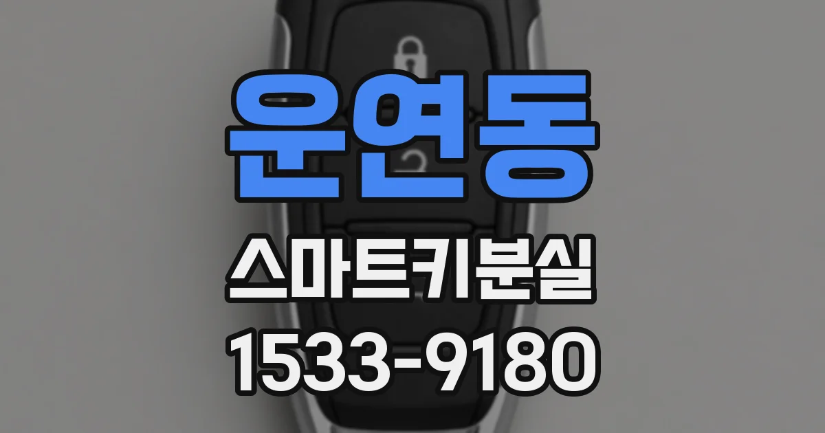 운연동 스마트키분실