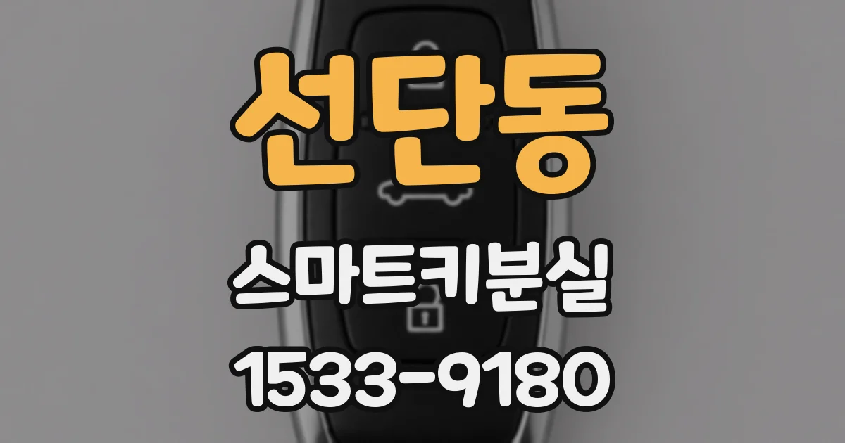 선단동 스마트키분실