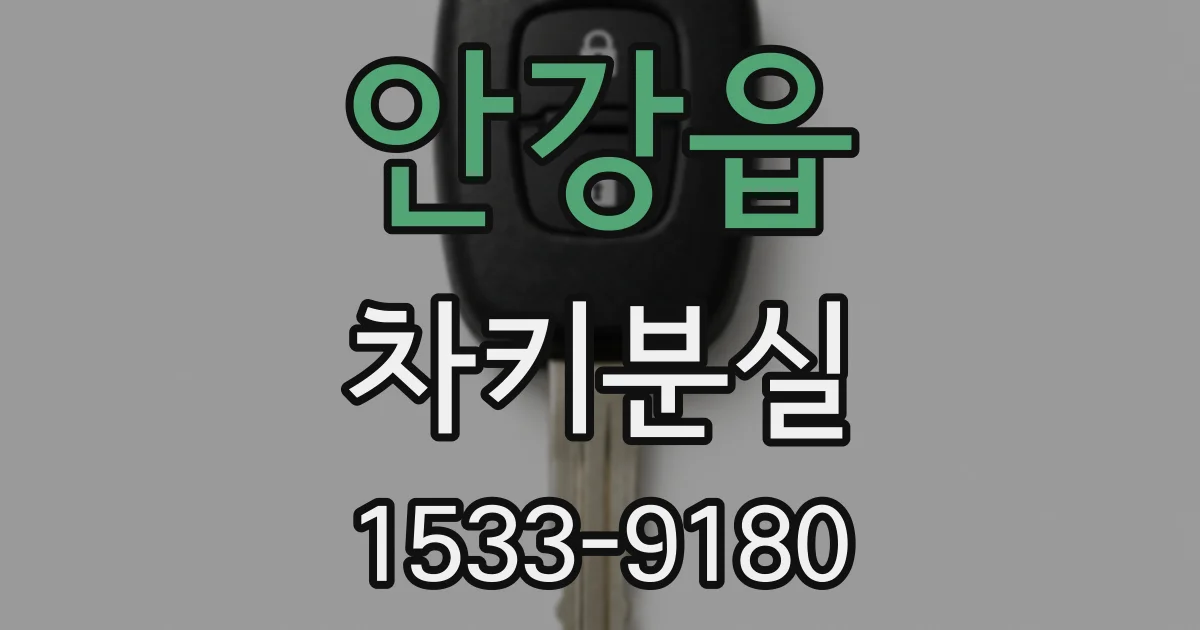 안강읍 차키분실