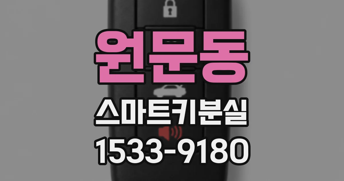 원문동 스마트키분실