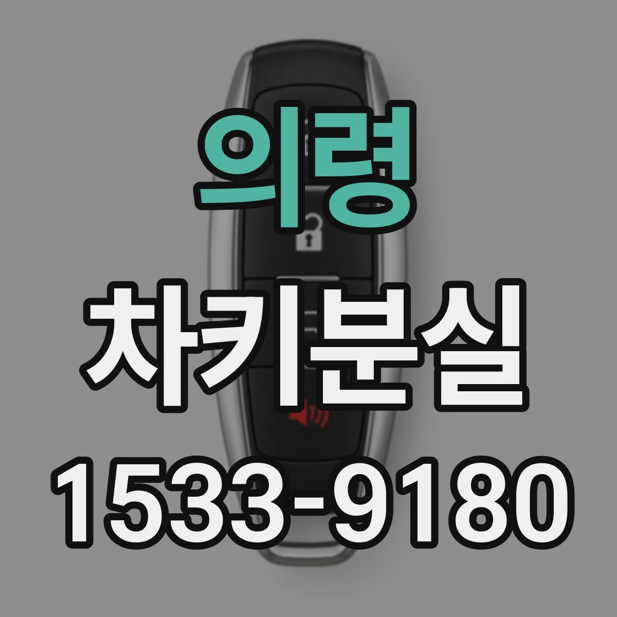 의령 차키분실