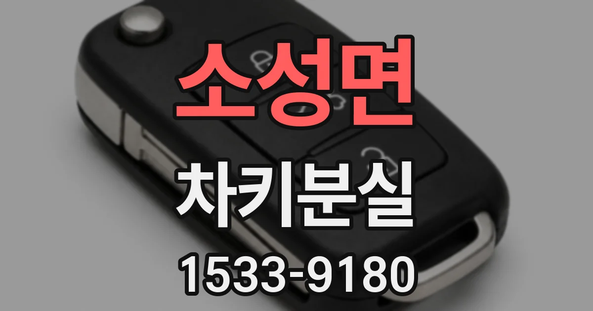 소성면 차키분실