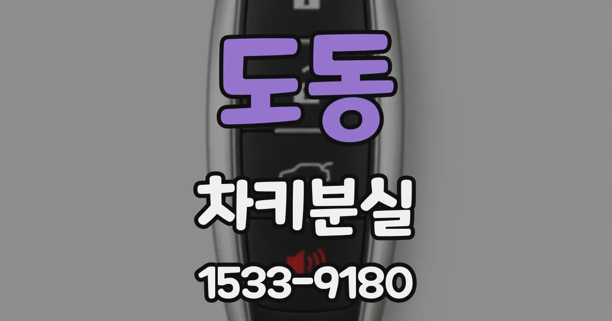 도동 차키분실