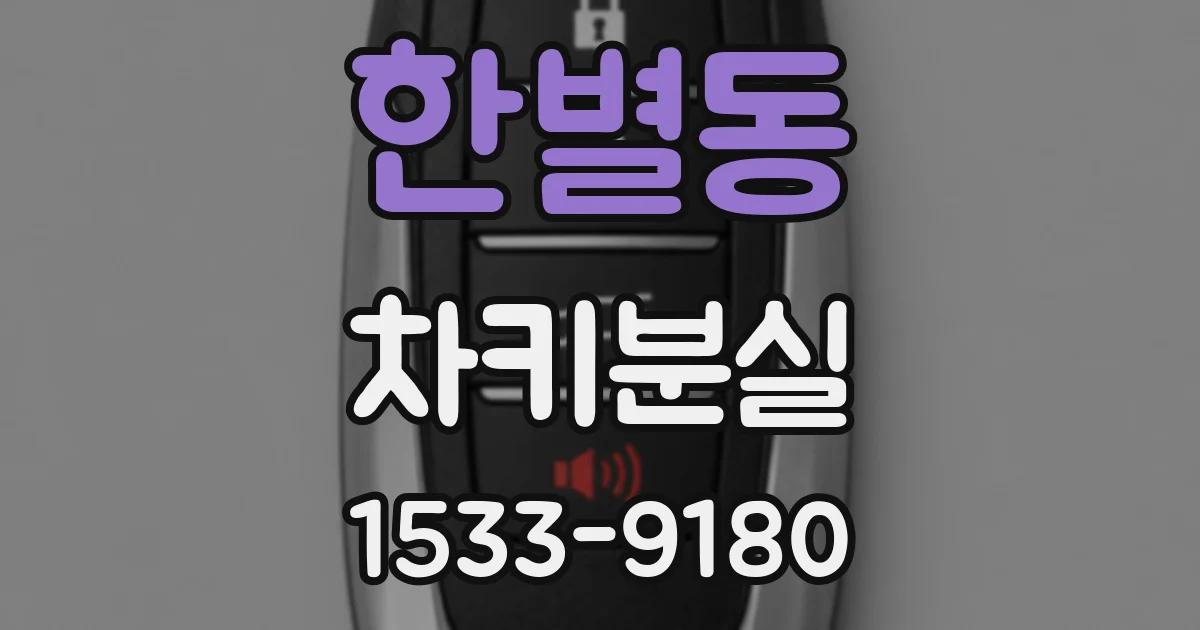 한별동 차키분실