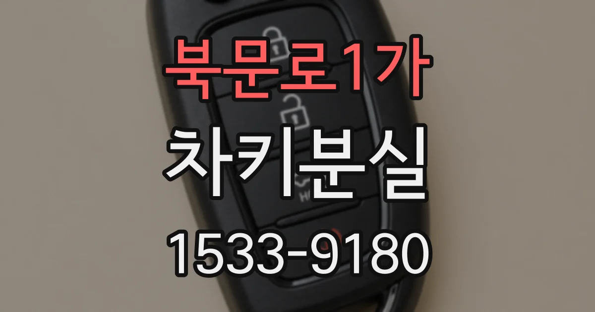 북문로1가 차키분실