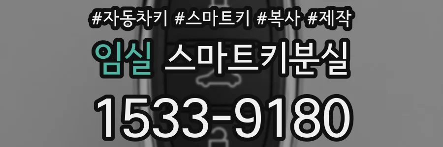임실 스마트키분실