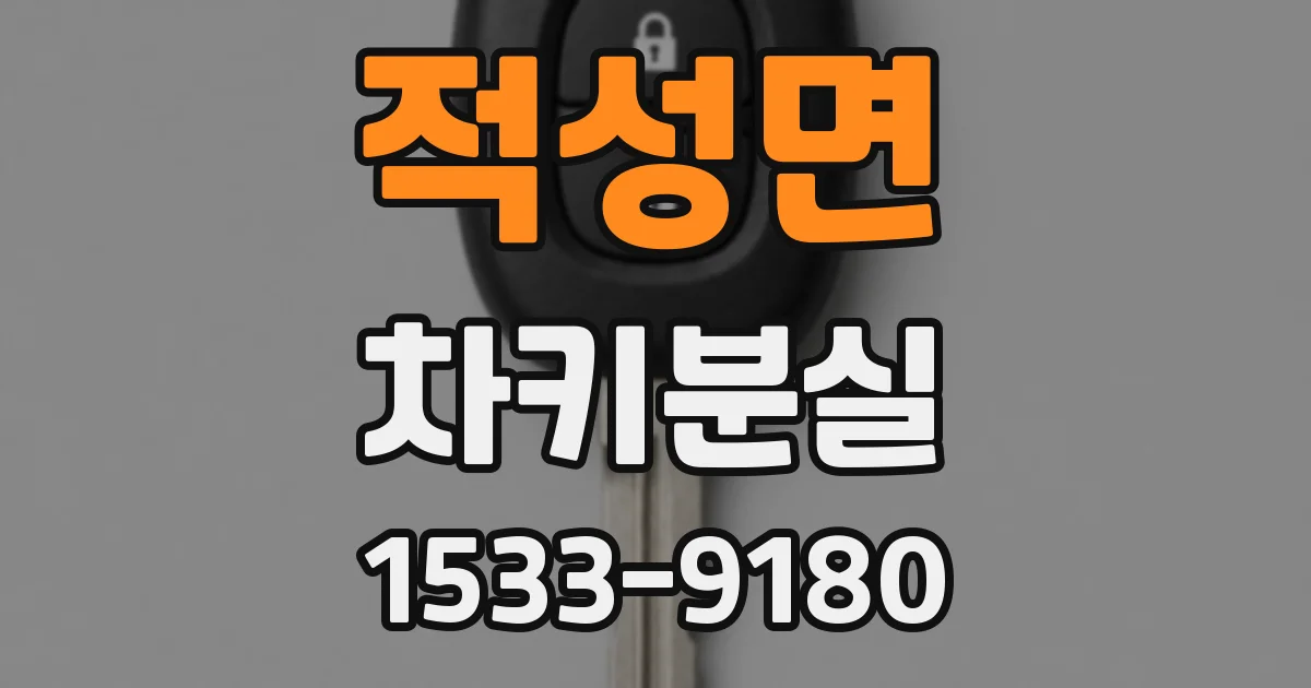 적성면 차키분실