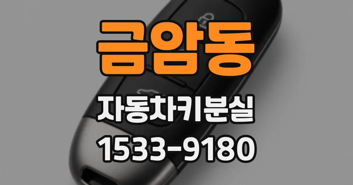금암동 자동차키분실