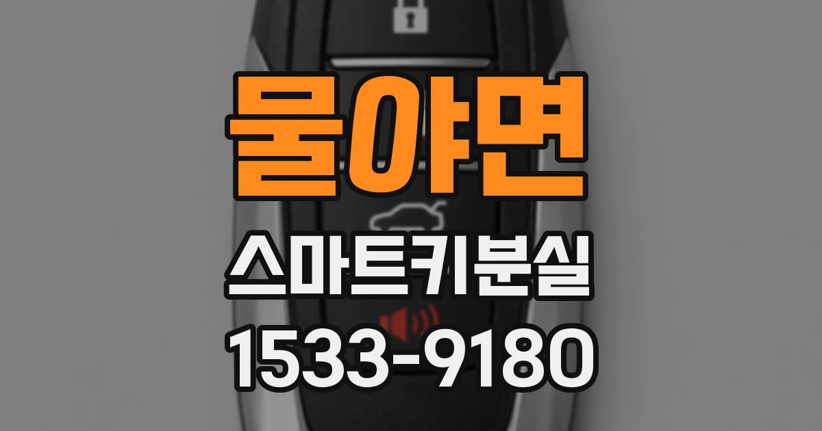 물야면 스마트키분실