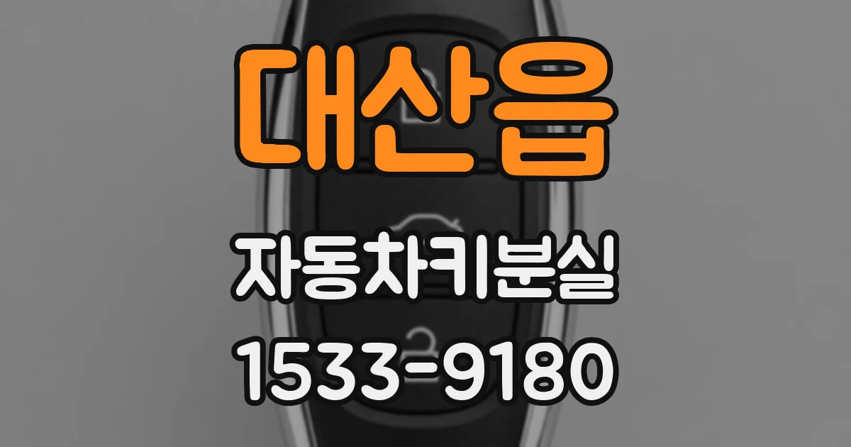 대산읍 자동차키분실