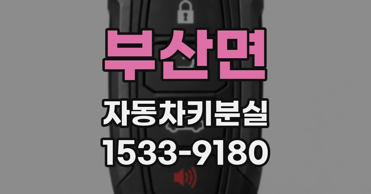 부산면 자동차키분실