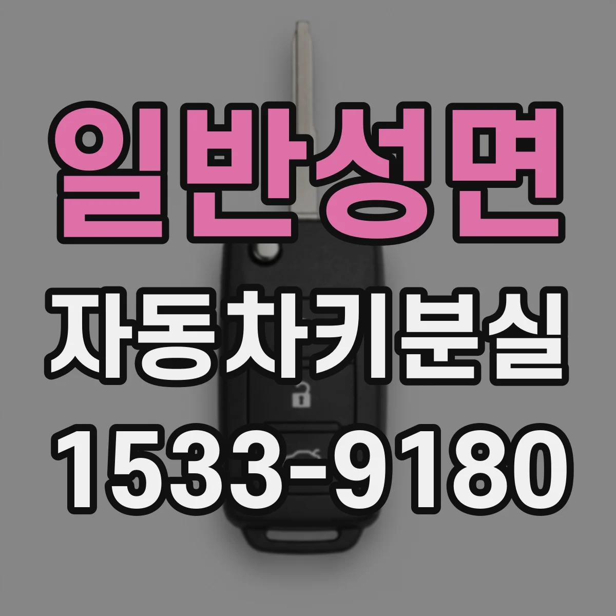일반성면 자동차키분실