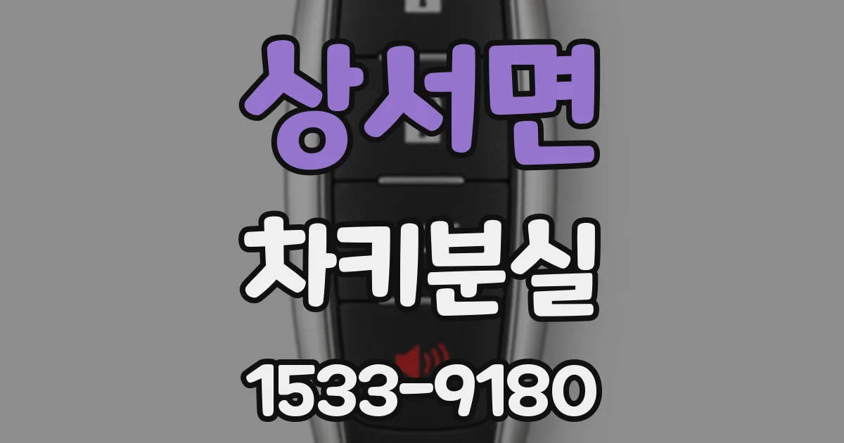 상서면 차키분실