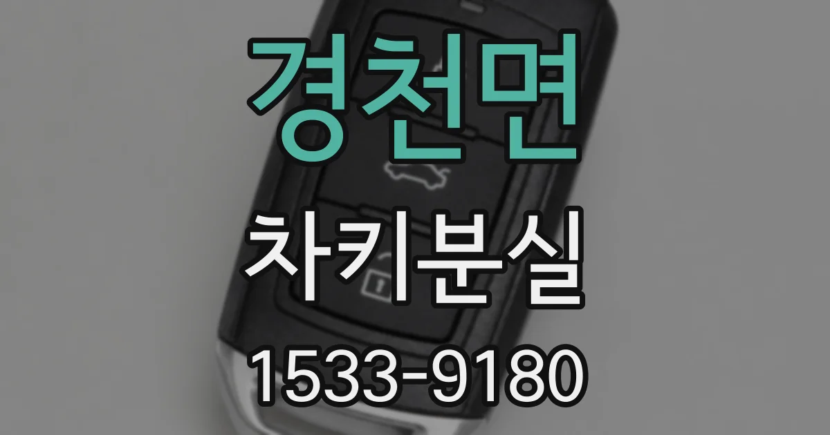 경천면 차키분실