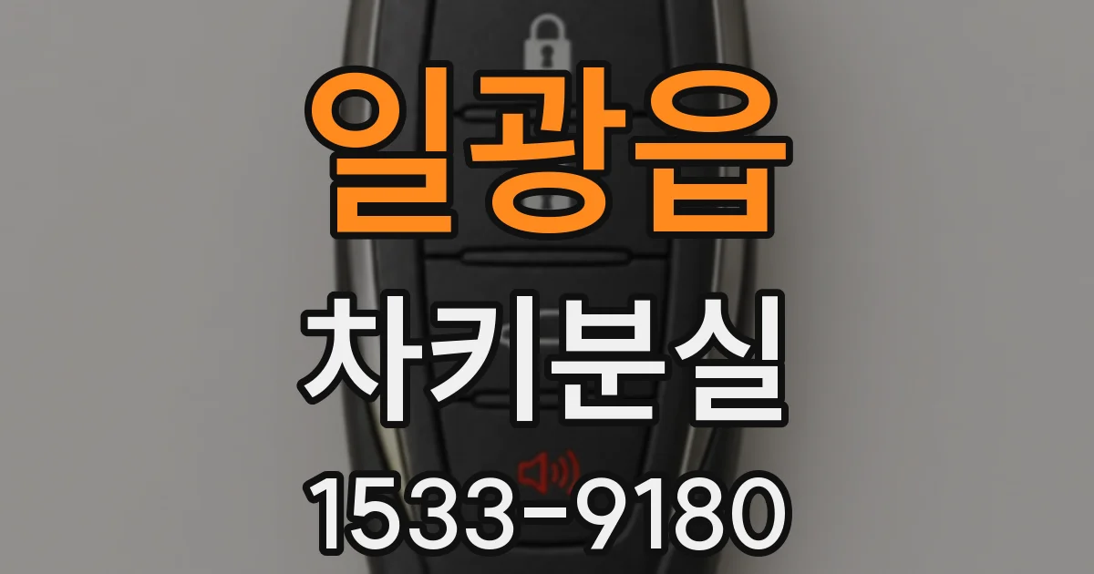 일광읍 차키분실