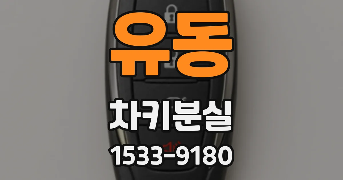 유동 차키분실