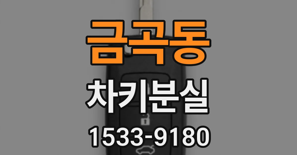 금곡동 차키분실