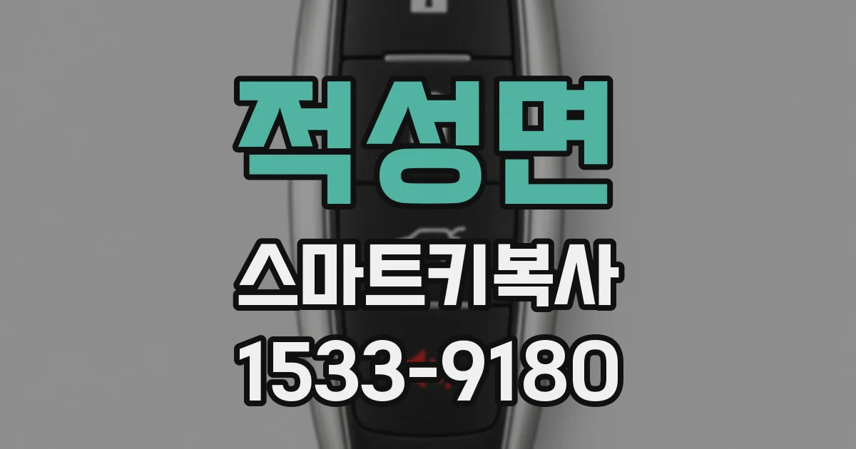 적성면 스마트키복사