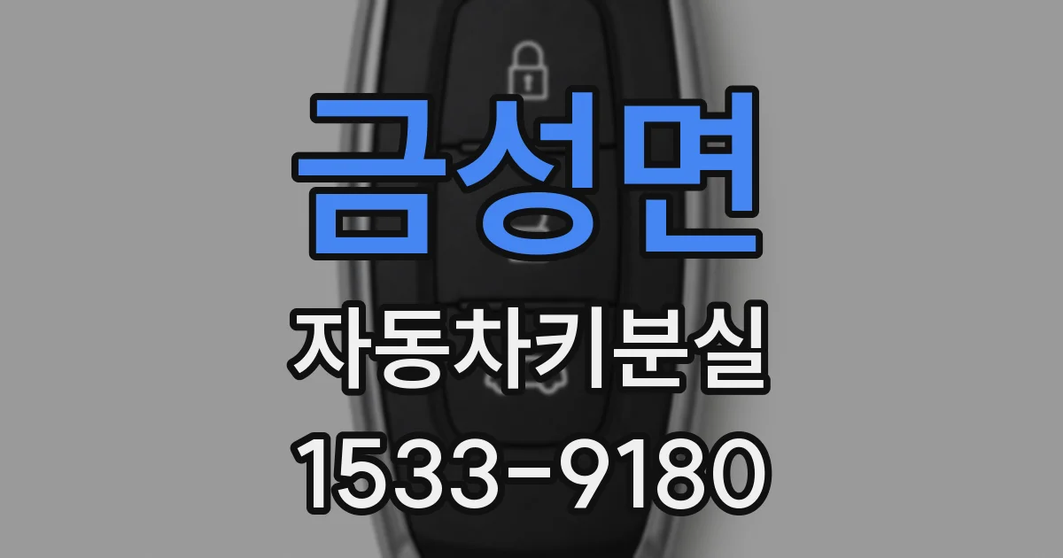 금성면 자동차키분실