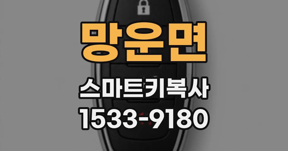 망운면 스마트키복사