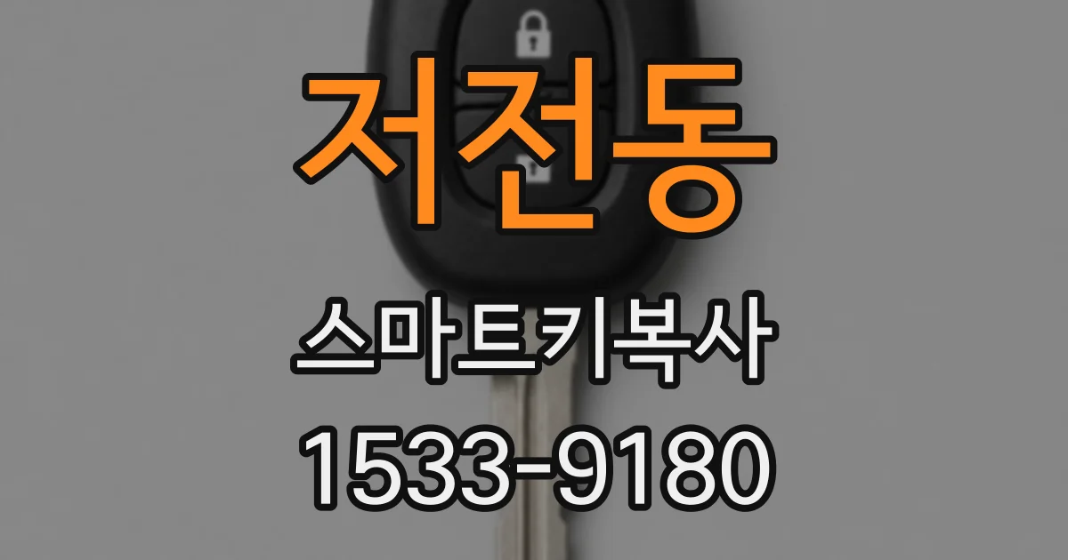 저전동 스마트키복사