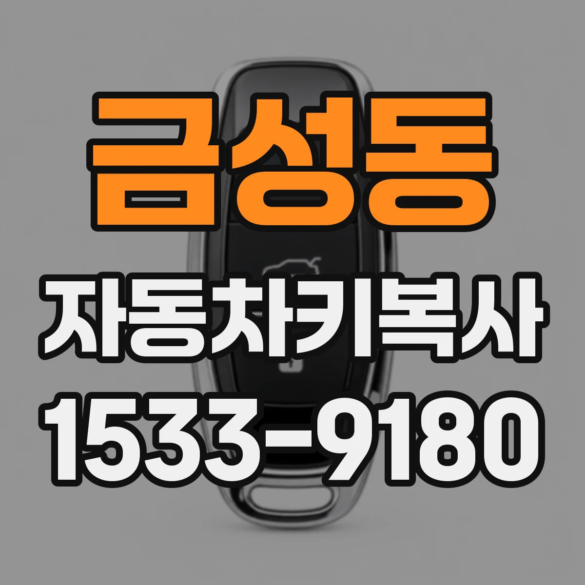 금성동 자동차키복사
