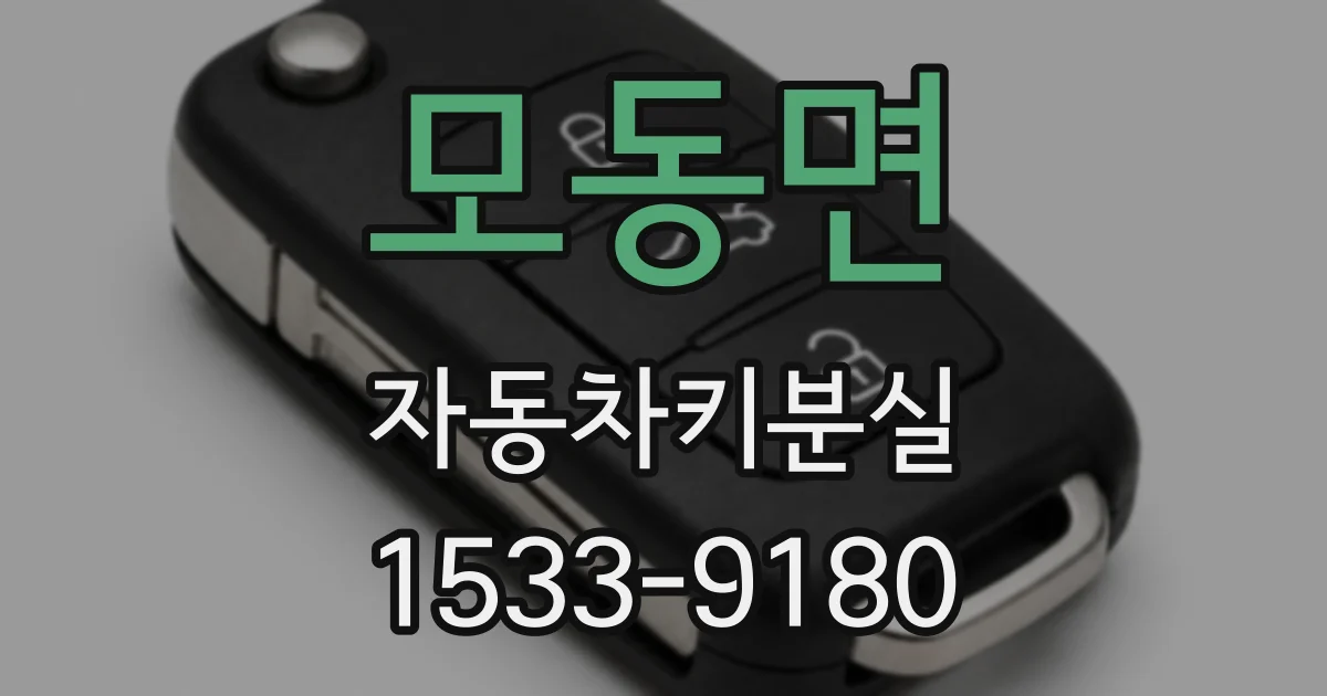 모동면 자동차키분실