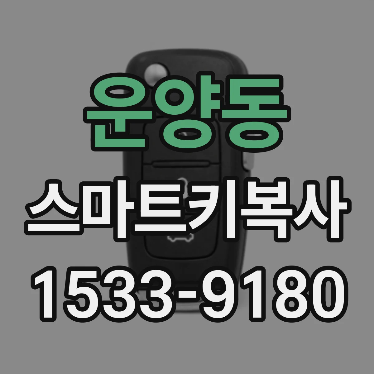 운양동 스마트키복사
