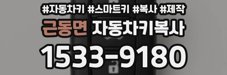 근동면 자동차키복사