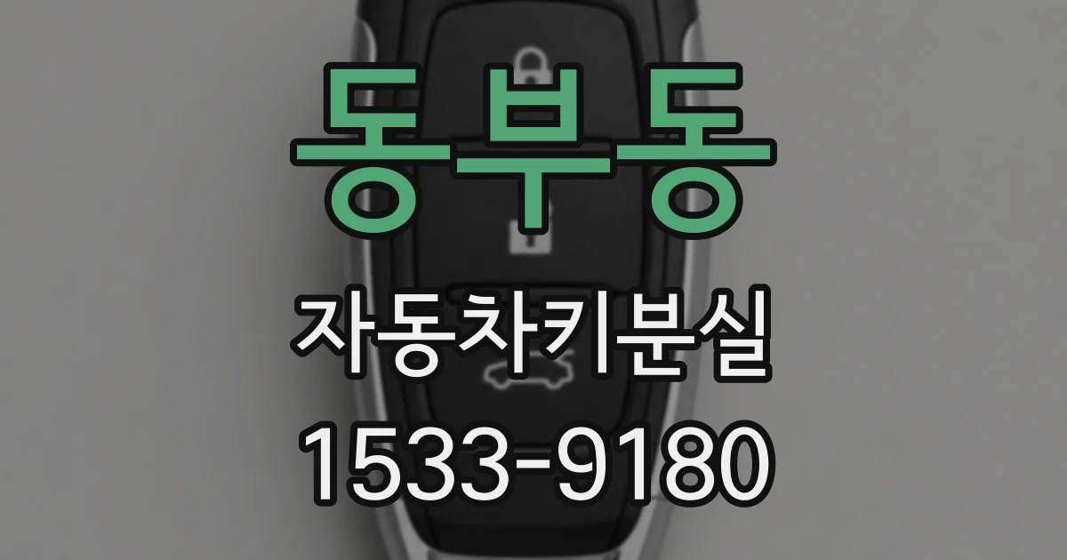 동부동 자동차키분실