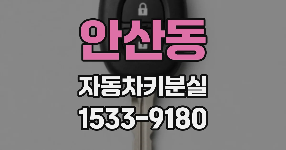 안산동 자동차키분실