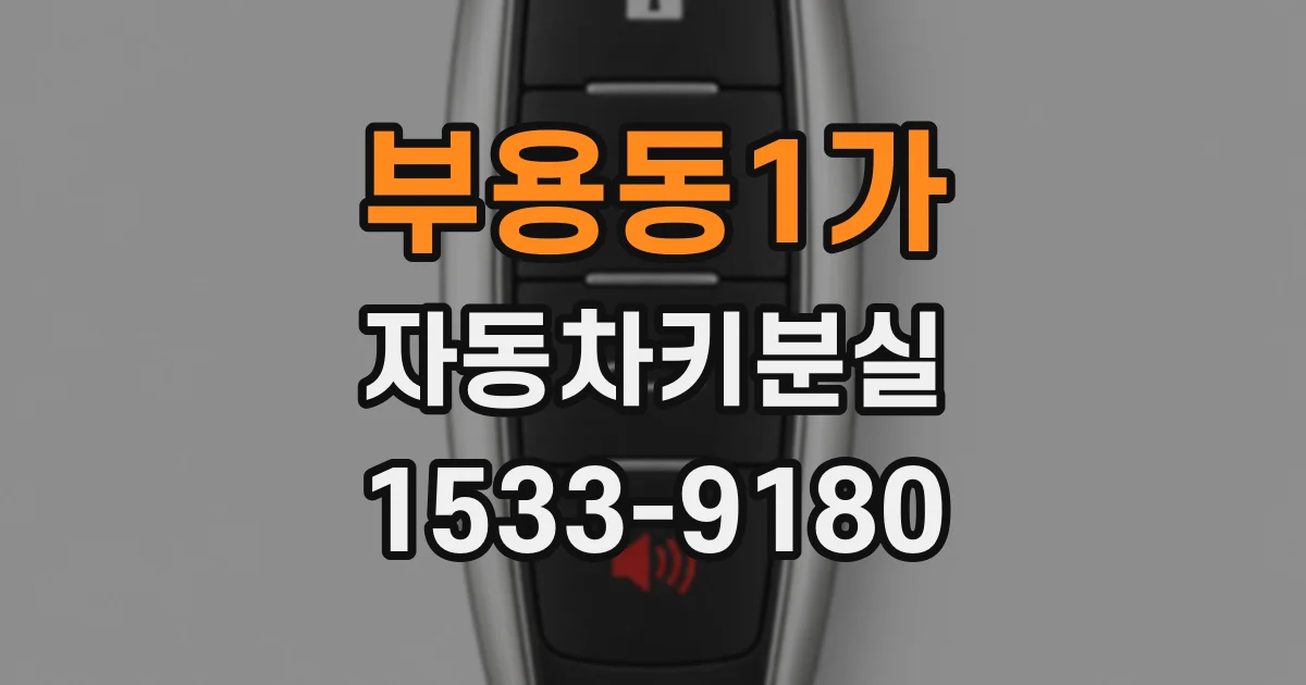 부용동1가 자동차키분실