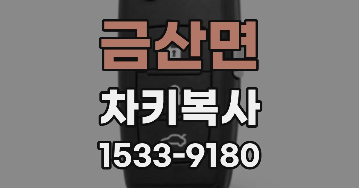금산면 차키복사