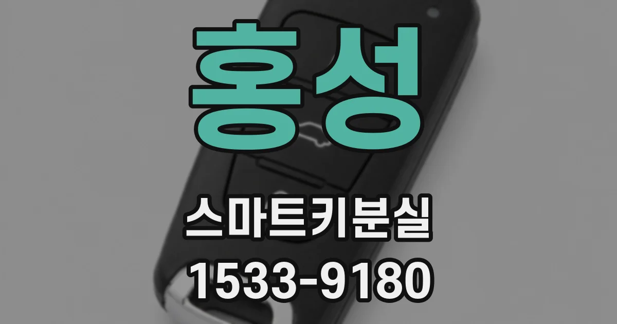 홍성 스마트키분실