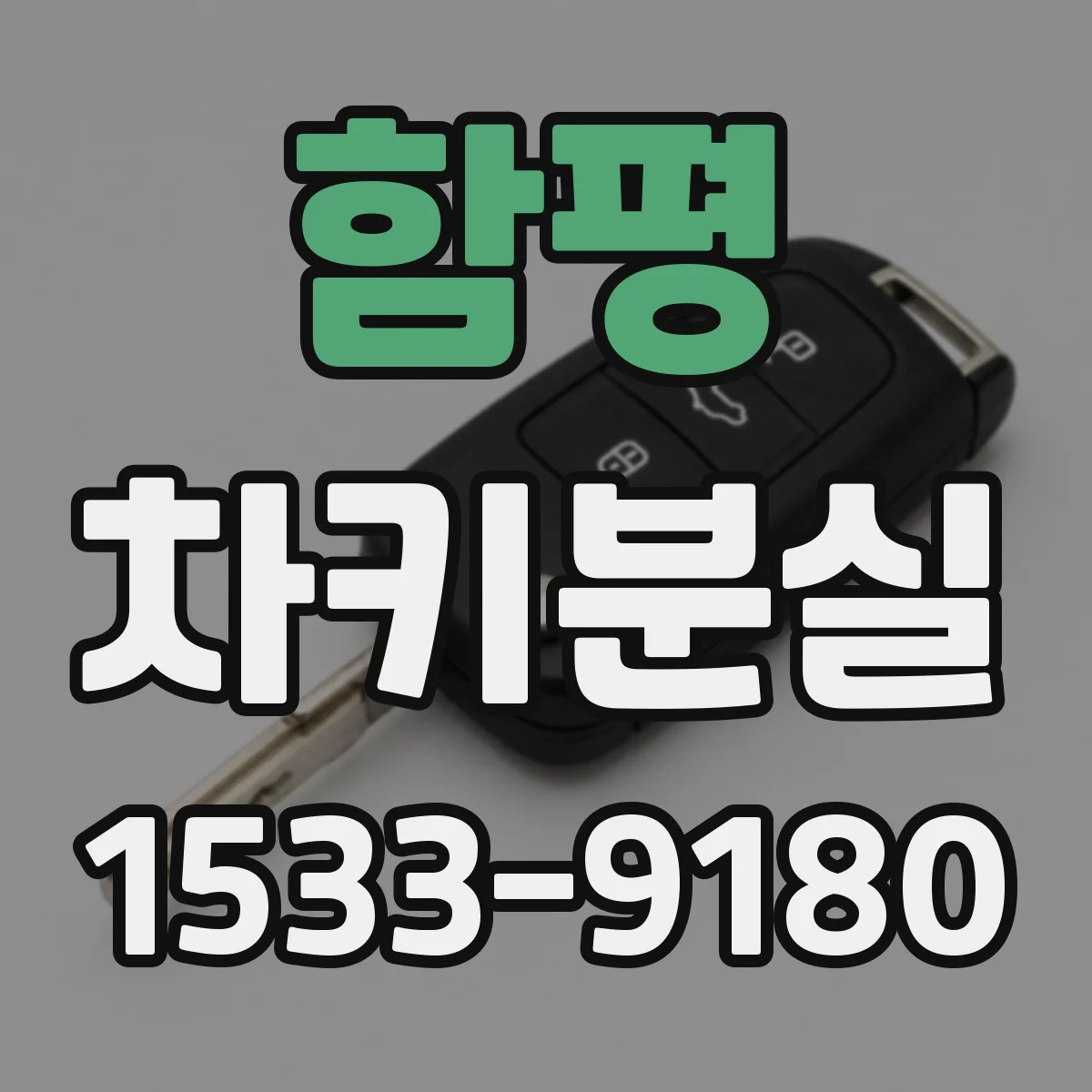 함평 차키분실