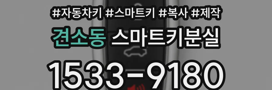 견소동 스마트키분실