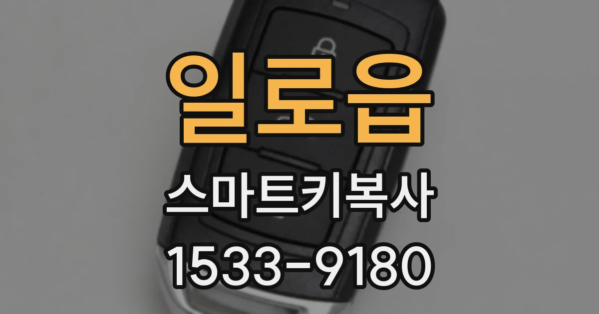 일로읍 스마트키복사